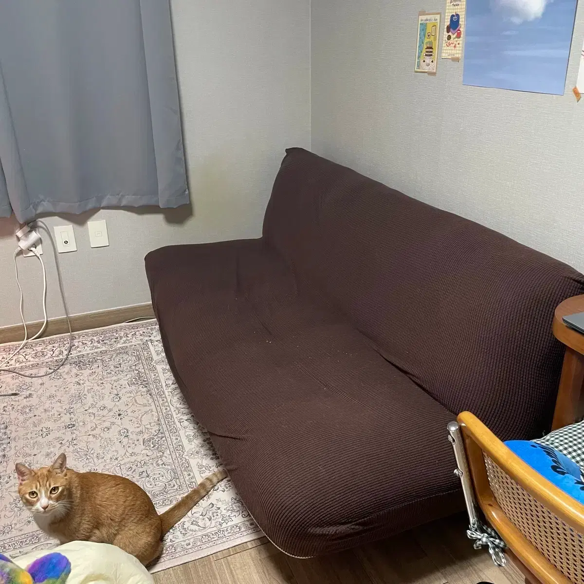 thumbnail-0